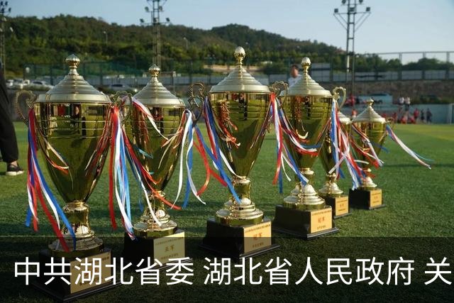 中共湖北省委 湖北省人民政府 关于推动湖北城市高质量发展的实施意见