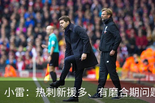 小雷：热刺新援多、有磨合期问题 范德芬等人没有做好领导工作