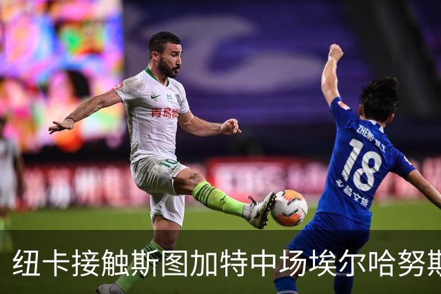 纽卡接触斯图加特中场埃尔哈努斯，沃尔特马德离队可能性上升